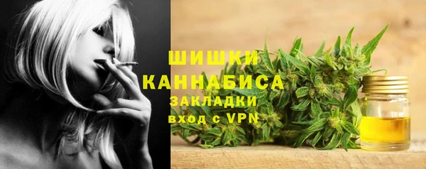 спайс Богданович