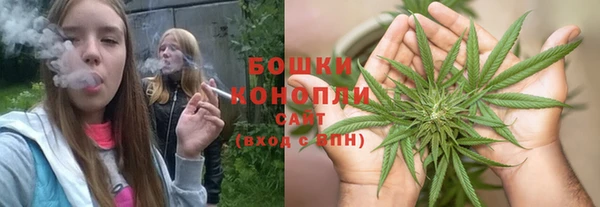 спайс Богданович