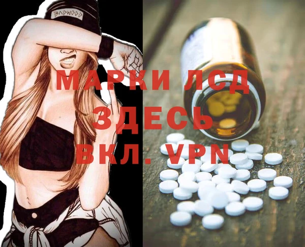 спайс Богданович