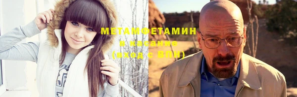 спайс Богданович