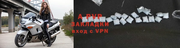 спайс Богданович