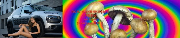 марки lsd Богородск