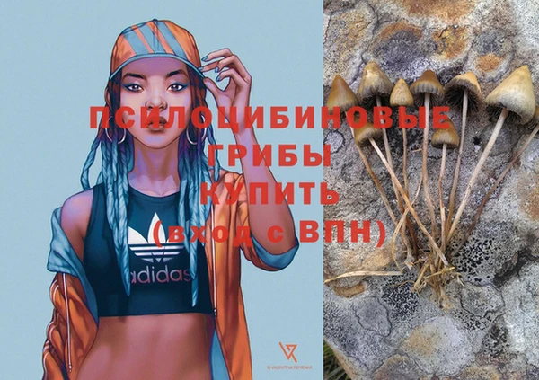 спайс Богданович