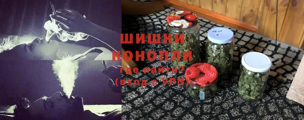 спайс Богданович