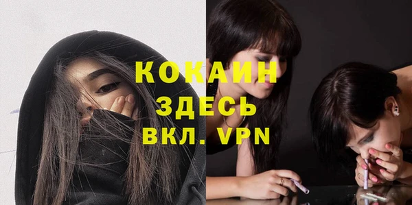 спайс Богданович