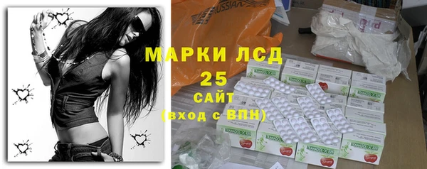 спайс Богданович