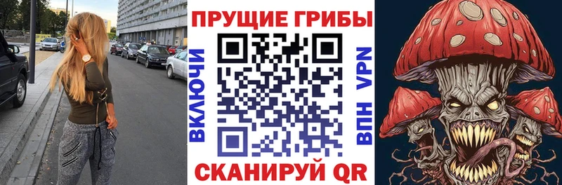 купить наркоту Черкесск Псилоцибиновые грибы мицелий